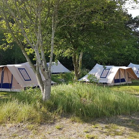 באלום Ameland Tentenverhuur Atv מראה חיצוני תמונה